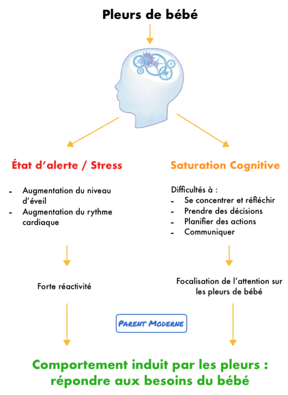 L'effet Des Pleurs De Bébé Sur Notre Cerveau - Parent Moderne